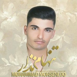 دانلود آهنگ جدید محمد محسن لو به نام تنهام نزار
